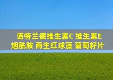 诺特兰德维生素C 维生素E 烟酰胺 雨生红球藻 葡萄籽片
